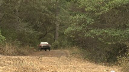 Hunky Surfers' Outdoor XXX Action